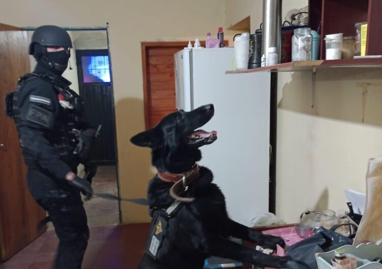 Un policía de Córdoba con licencia psiquiátrica vendía drogas a domicilio
