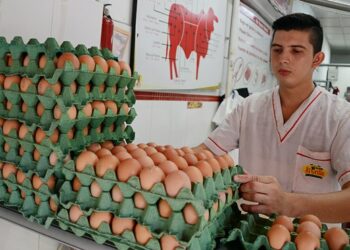Argentina ocupa el cuarto lugar en el ranking mundial de consumo de huevo