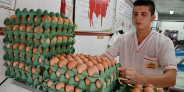 Argentina ocupa el cuarto lugar en el ranking mundial de consumo de huevo
