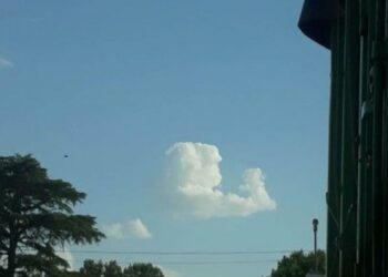 La Mona celebra sus 72 años y en la víspera una nube con su forma causó furor