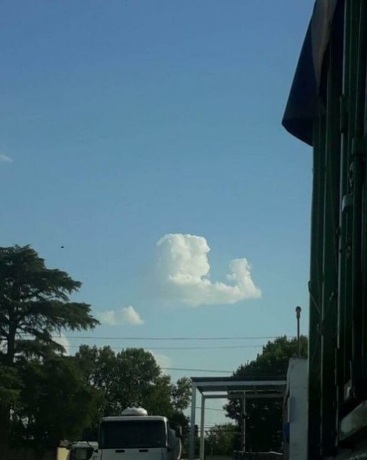 La Mona celebra sus 72 años y en la víspera una nube con su forma causó furor