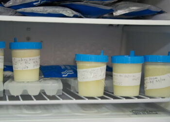 El Banco de Leche entrega donaciones a los más necesitados