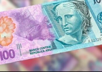 Fuerte escepticismo ante la idea de una moneda con Brasil