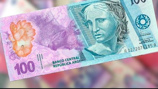 Fuerte escepticismo ante la idea de una moneda con Brasil