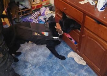 Vendía cocaína mientras cumplía prisión domiciliaria en barrio Villa Revol