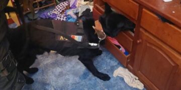 Vendía cocaína mientras cumplía prisión domiciliaria en barrio Villa Revol