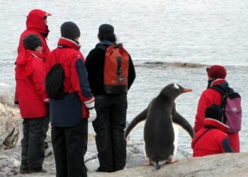 Descubren nueva colonia de pingüinos emperador en la Antártida