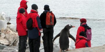 Descubren nueva colonia de pingüinos emperador en la Antártida