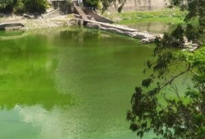Vuelven a alertar por cianobacterias tóxicas en el agua del lago San Roque