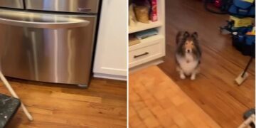 Narró una experiencia paranormal y en las redes le hicieron notar un estremecedor detalle en su video