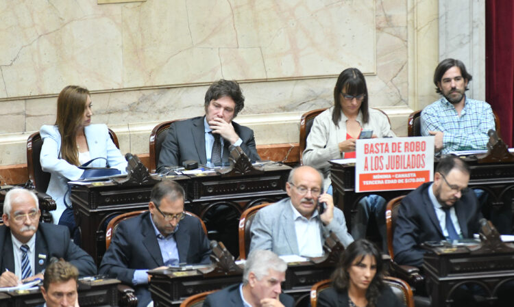 La Cámara de Diputados convirtió en ley el proyecto de moratoria previsional