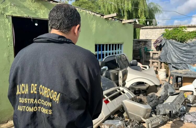 Al menos 15 detenidos por robos y violencia tras un megaoperativo en la zona sur de la ciudad
