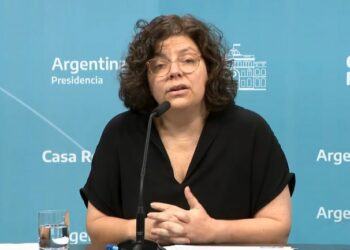 Vizzotti: «Hemos tenido casos pero son de aves silvestres o de corral»