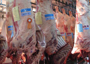 AFIP desarticuló una evasión de más de $13 millones en la exportación de carne bovina a China