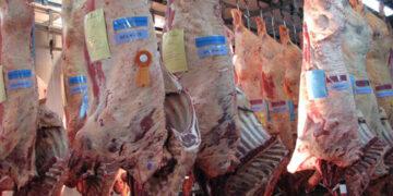 AFIP desarticuló una evasión de más de $13 millones en la exportación de carne bovina a China