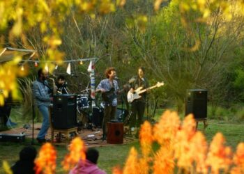 Sanar entre la naturaleza