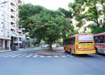 Tras la repavimentación, el transporte vuelve a circular con normalidad sobre el bulevar Illia