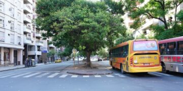 Tras la repavimentación, el transporte vuelve a circular con normalidad sobre el bulevar Illia