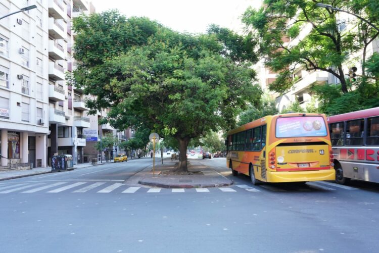 Tras la repavimentación, el transporte vuelve a circular con normalidad sobre el bulevar Illia