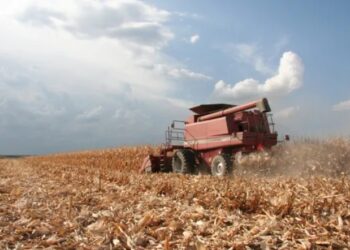 La actividad económica se  detiene por la caída del agro