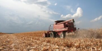 La actividad económica se  detiene por la caída del agro