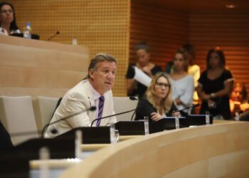 Ingresó el proyecto que habilita la re-reelección acotada