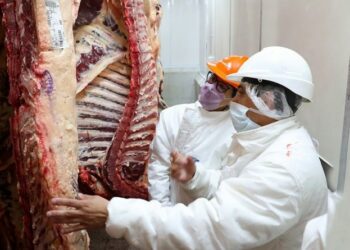 Frigoríficos polemizaron ante el acuerdo por los precios de la carne