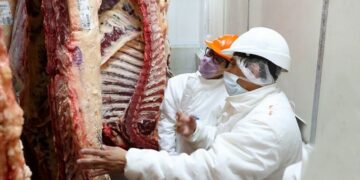 Frigoríficos polemizaron ante el acuerdo por los precios de la carne