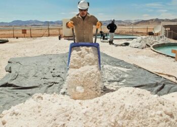 Las reservas de litio captan la atención de empresas chinas