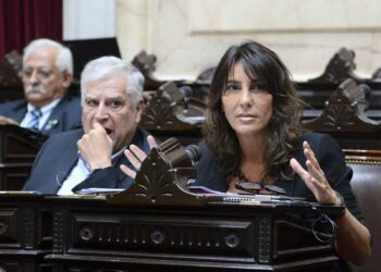 Apoyo desde Córdoba a la sanción de la moratoria previsional