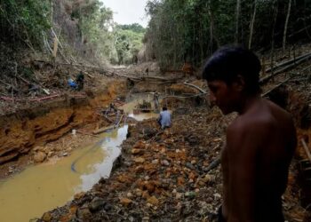 La «mafia minera» blanqueó 13 toneladas de oro extraído de la Amazonía en Brasil