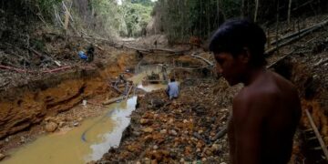 La «mafia minera» blanqueó 13 toneladas de oro extraído de la Amazonía en Brasil