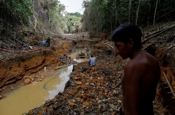 La "mafia minera" blanqueó 13 toneladas de oro extraído de la Amazonía en Brasil