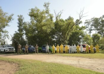 Confirman 4 nuevos positivos de influenza aviar en Córdoba y totalizan 24 casos en el país