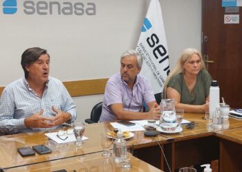 El Senasa afirmó que la gripe aviar no representa un peligro