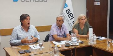 El Senasa afirmó que la gripe aviar no representa un peligro