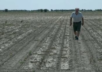 La sequía complica al Gobierno para la recaudación de dólares