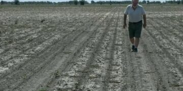 La sequía complica al Gobierno para la recaudación de dólares