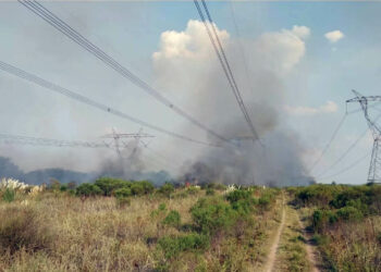Los motivos que provocaron el corte de electricidad y cómo continúa la situación