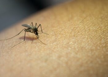 Por semana se registran más de 2000 contagios