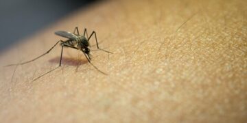 Por semana se registran más de 2000 contagios