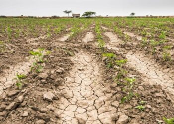 Proyectan una caída de US$ 20.000 millones en las exportaciones