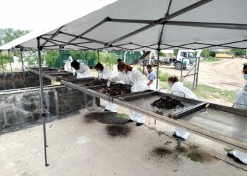 Antropólogos buscan restos de Anahí Bulnes en Piedras Blancas