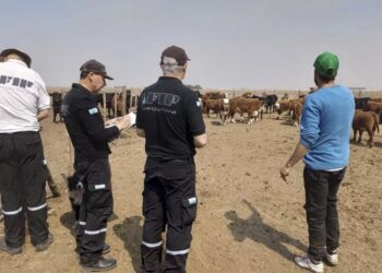 AFIP clausuró una destilería y un centro de acopio por maniobras fraudulentas con granos