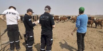 AFIP clausuró una destilería y un centro de acopio por maniobras fraudulentas con granos