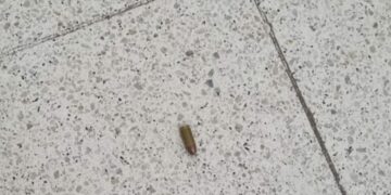 Entró armado al hospital Eva Perón y amenazó a los médicos