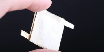 Crear chips biodegradables con el uso de hongos