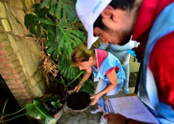 Dengue en Córdoba: los casos subieron 154% en una semana