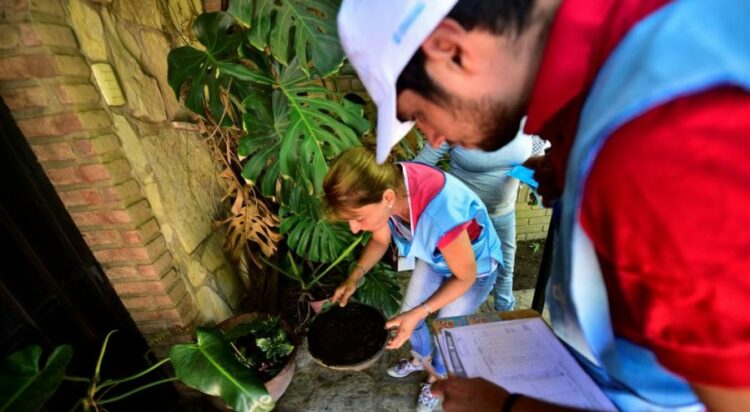 Dengue en Córdoba: los casos subieron 154% en una semana