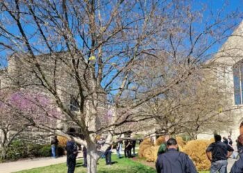 Terror en una escuela de Nashville: una joven mató a tres niños y tres adultos